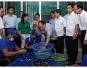 Thủ tướng Nguyễn Xuân Phúc và đoàn công tác đã đến kiểm tra một cơ sở chế biến suất ăn công nghiệp